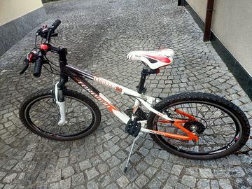 mtb Torpado iaguaro 24