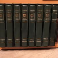 Collezione Francobolli Italia Repubblica 