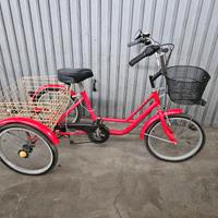 Triciclo cargo adulto CIGALA con cestino