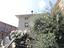 Immagine 21