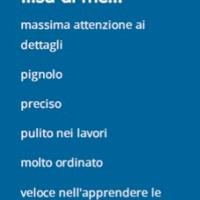Lavoro part time autista/corriere