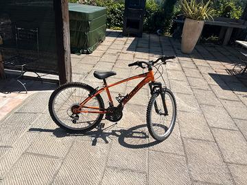 bici da bambino