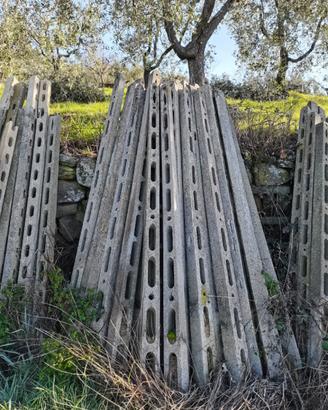 Pali in cemento per vigna o recinzione