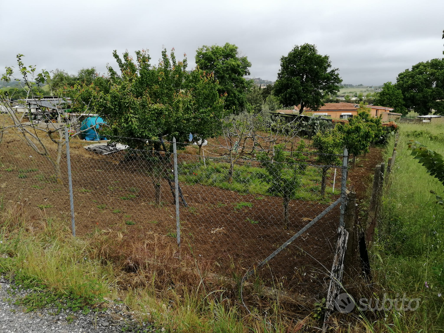 Terreno agricolo Nepi(VT) - Vista 2