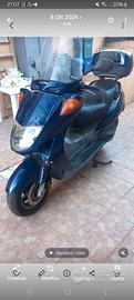 scooter  honda forestigt