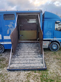 Van trasporto cavalli