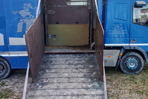 Van trasporto cavalli