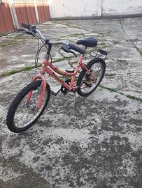 bici raggio 20  bambino