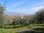 Immagine 9