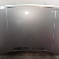 COFANO ANTERIORE VOLKSWAGEN Golf 2° Serie 1918230