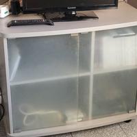 Mobile porta TV