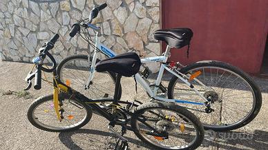 Biciclette varia misura