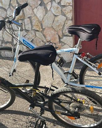 Biciclette varia misura