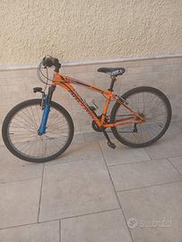 bicicletta mountain bike torpado