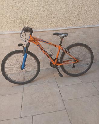 bicicletta mountain bike torpado