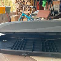 Baule