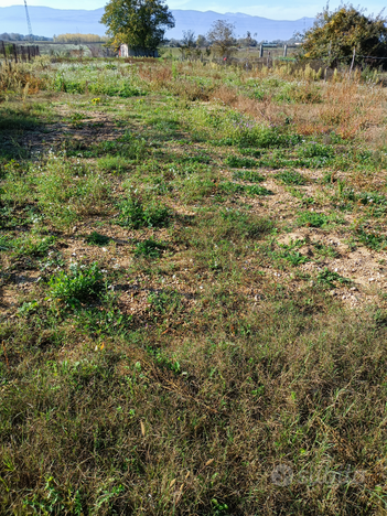 Terreno agricolo di 1500 mq