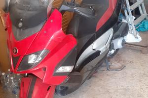 nexus 250