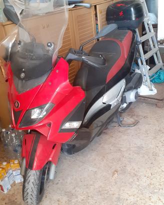 nexus 250