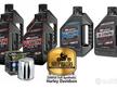 Kit Full V-Twin 20W50 Sintetico Olio per Harley