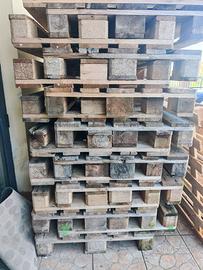 Bancali Epal in condizioni Eccellenti