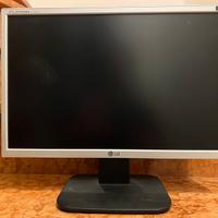 Monitor 19 pollici lg