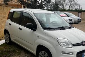Fiat Panda 1.2 Lounge 2019 km 90000 ufficiali