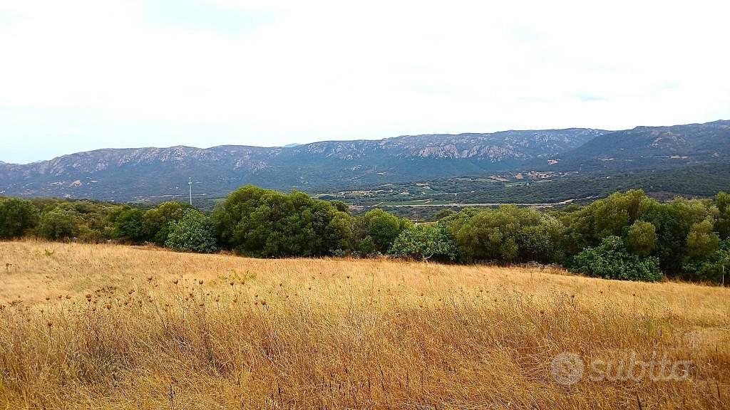 Terreno di 240000 m² a Monti - Vista 5