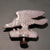 collezione ornamento aquila imperiale tedesca 