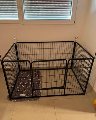 Gabbia per cani