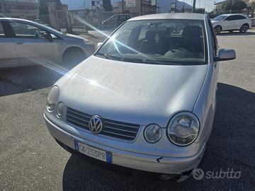 Auto polo