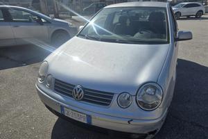 Auto polo