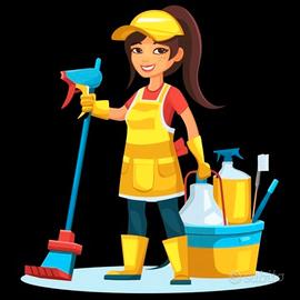 Pulizie domestiche