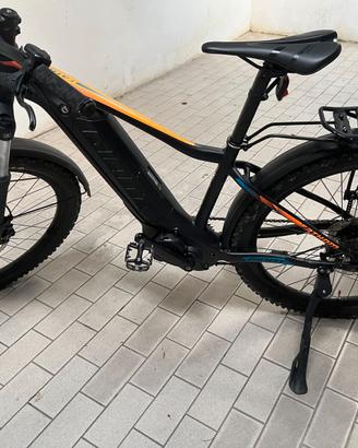 e bike