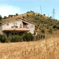 Carinissimo bilocale immerso nel verde