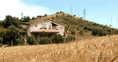 Carinissimo bilocale immerso nel verde