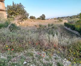 Terreno Locale dentro città