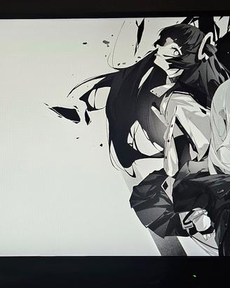 Monitor 27 pollici QHD 165hz