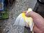Immagine 1