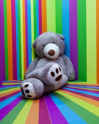 orsi peluche gigante