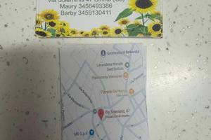Il girasole di Maury è barby