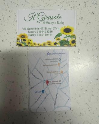 Il girasole di Maury è barby