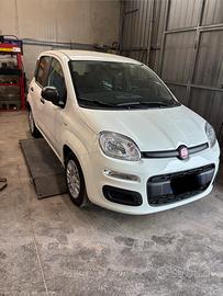 Panda hybrid 1.0