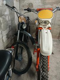  cimatti x 21