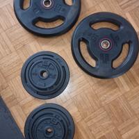 Dischi palestra