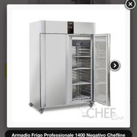 Congelatore verticale doppio professionale