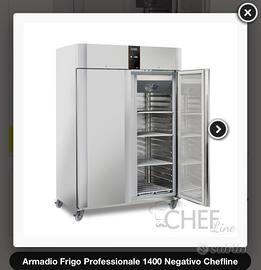 Congelatore verticale doppio professionale