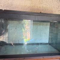 Aquario 300 litri