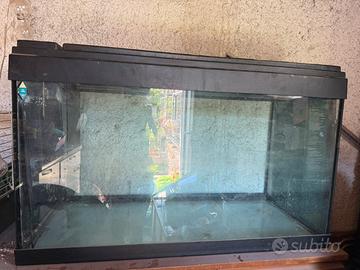 Aquario 300 litri