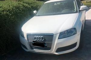 Audi A3 8p 1.9 TDI 105 sca.mbio